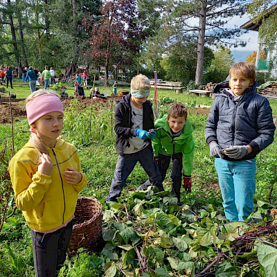 Gartenprojekt mit dem Waldkindergarten