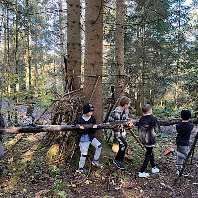 Waldstunde 3a