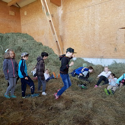 Bauernhofbesuch der 3. Klassen