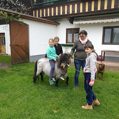 Bauernhofbesuch der 3. Klassen