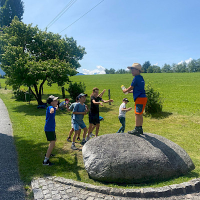 Besuch beim Bienenstock