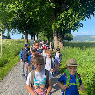Besuch beim Bienenstock