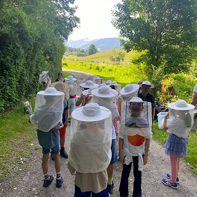 Besuch beim Bienenstock