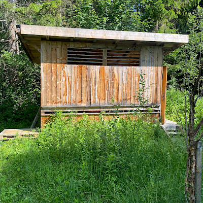 Besuch beim Bienenstock