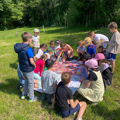 Besuch beim Bienenstock