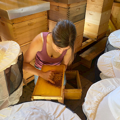 Besuch beim Bienenstock
